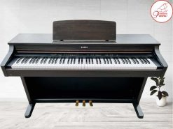pn250